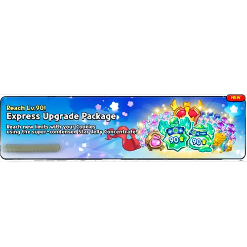 Express Upgrade Package (Reach Lv.90!)