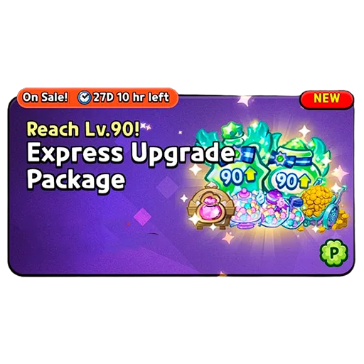 Express Upgrade Package (Reach Lv.90!)