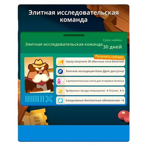 Элитная исследовательская команда