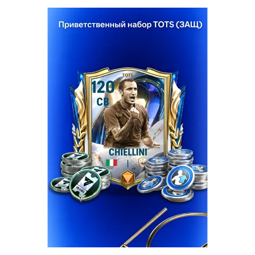 Приветственный набор TOTS (ЗАЩ)