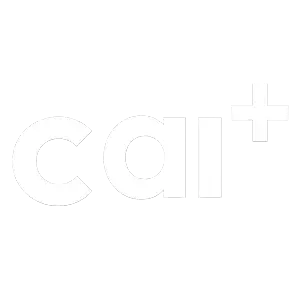 C.AI Plus (1 месяц)