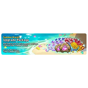 Upgrade Package (Summer Break!)